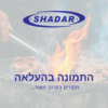 ממלא מקום
